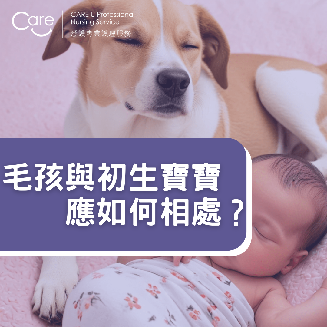 毛孩與寶寶